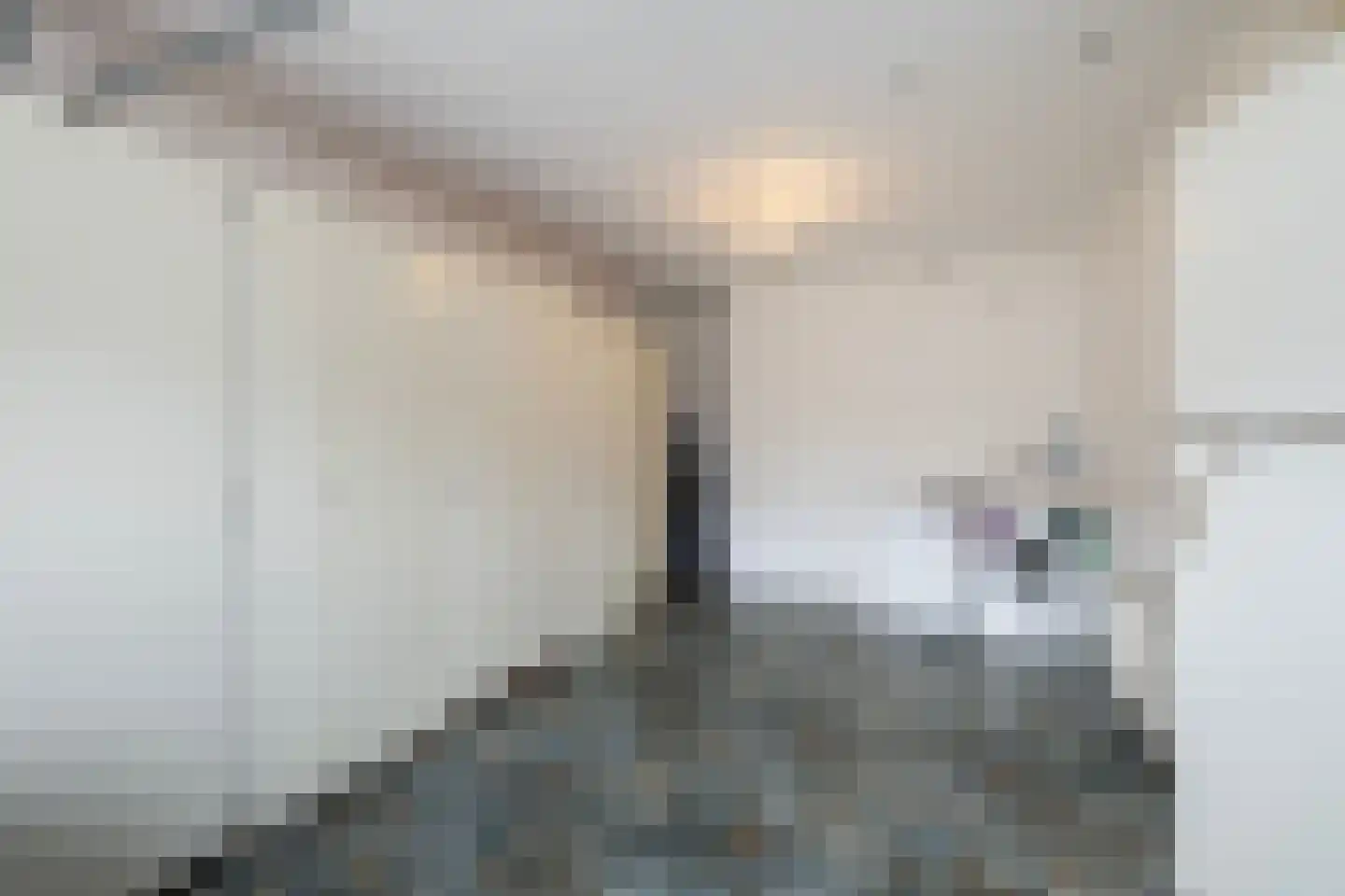 Het Rijpaard 20 Dronten thumbnail 20