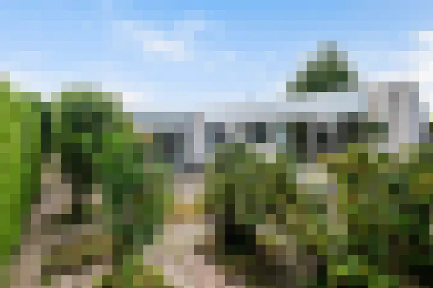 Het Rijpaard 20 Dronten thumbnail 22
