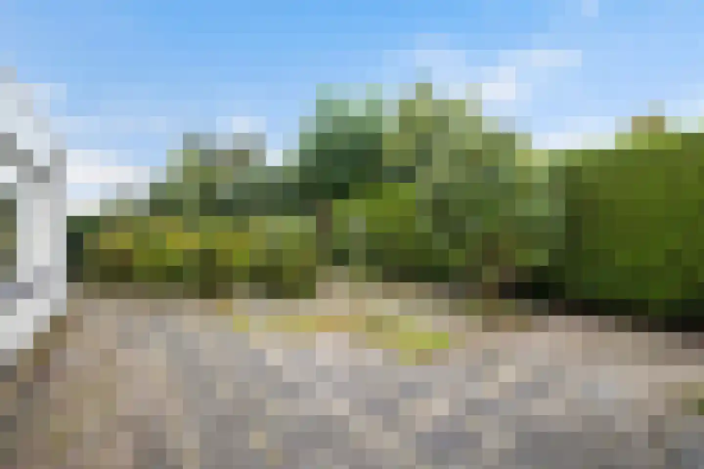 Het Rijpaard 20 Dronten thumbnail 24