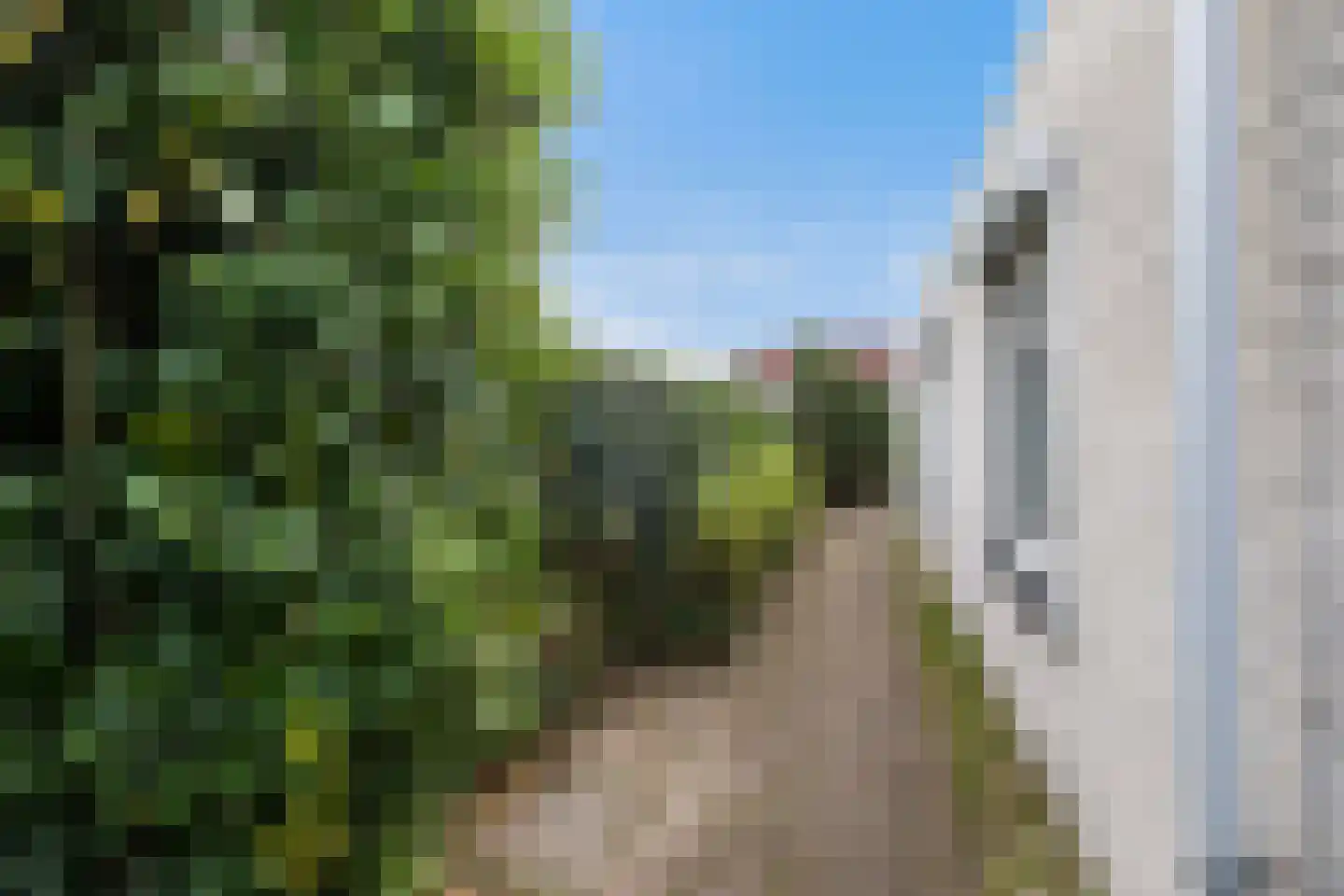 Het Rijpaard 20 Dronten thumbnail 26
