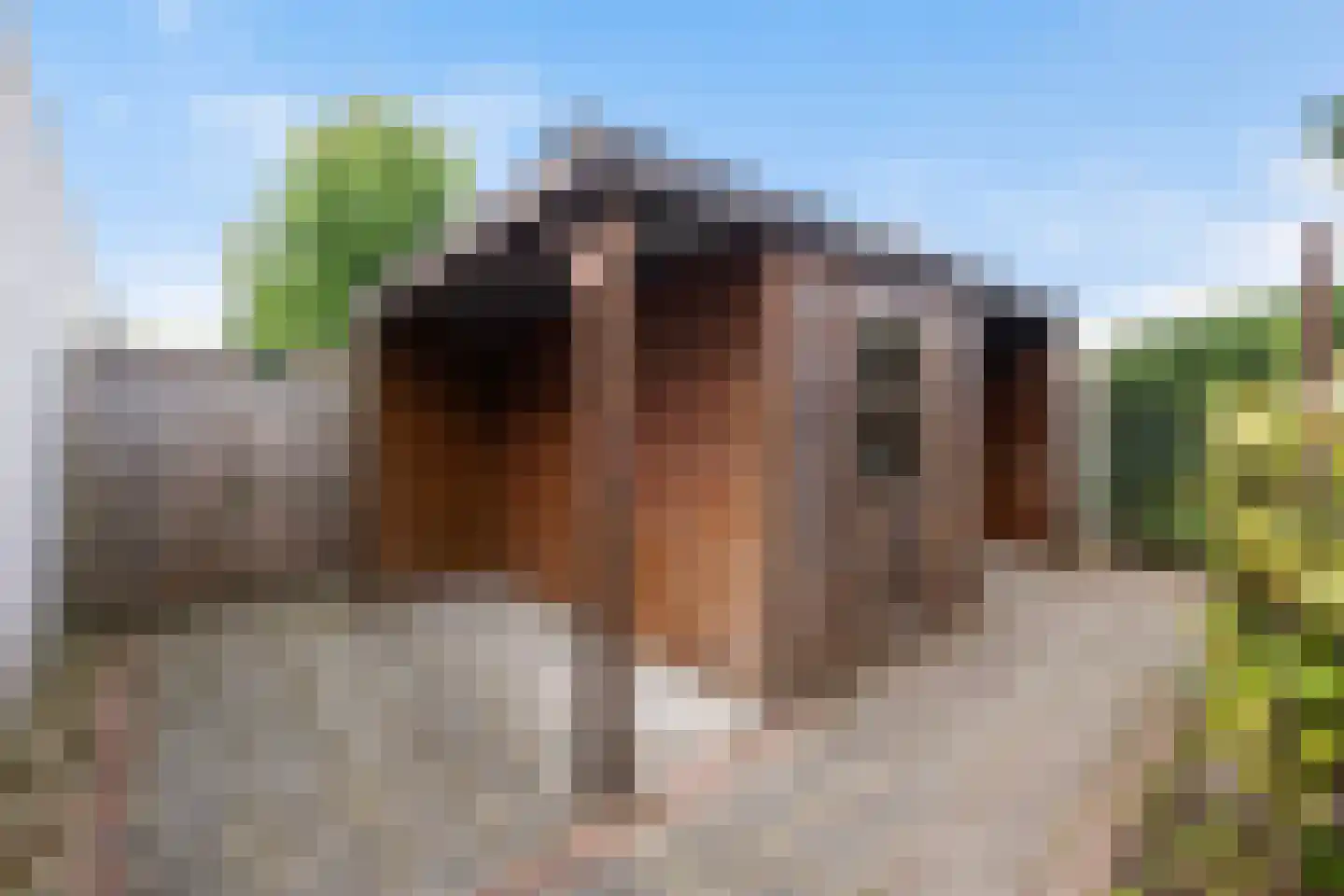 Het Rijpaard 20 Dronten thumbnail 27