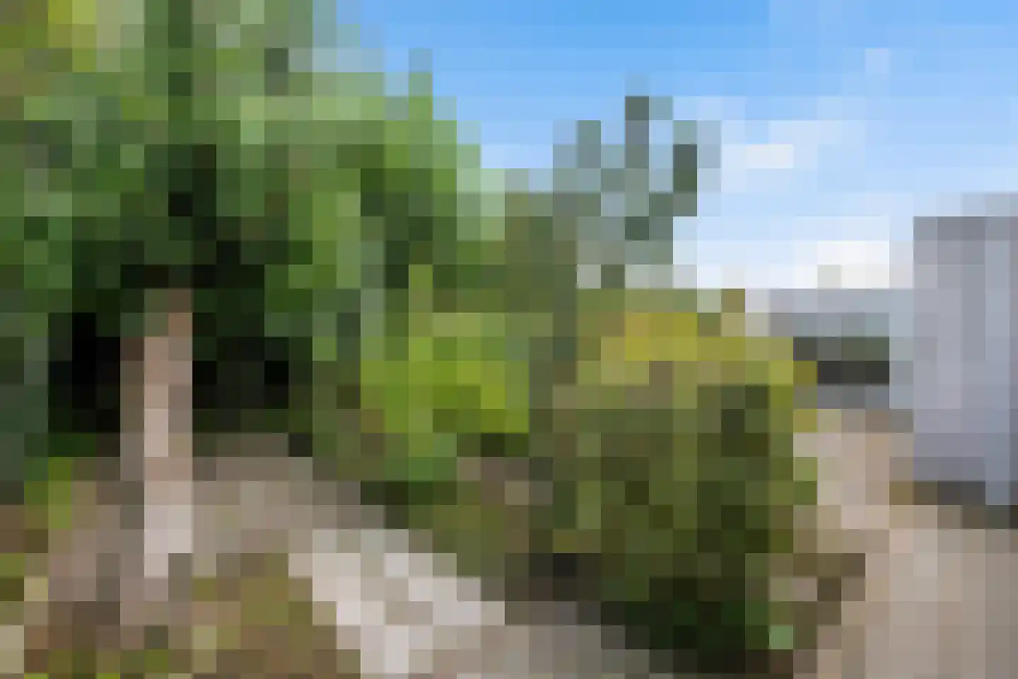 Het Rijpaard 20 Dronten thumbnail 32