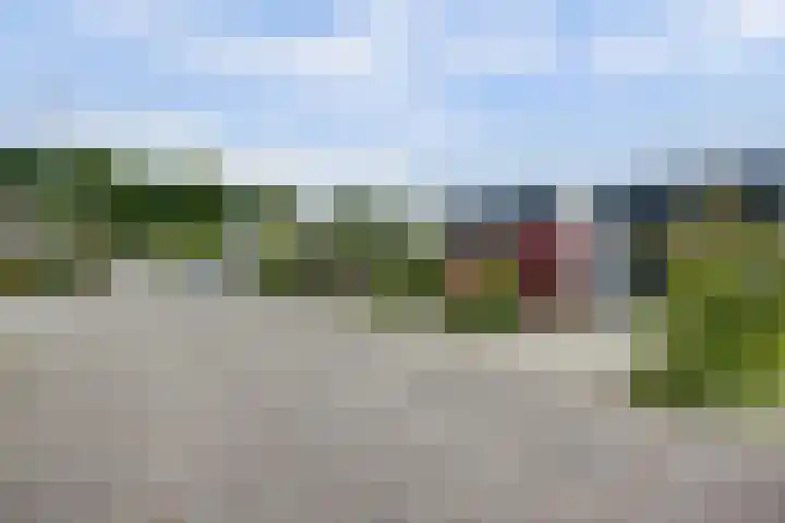 Het Rijpaard 30 Dronten foto 2