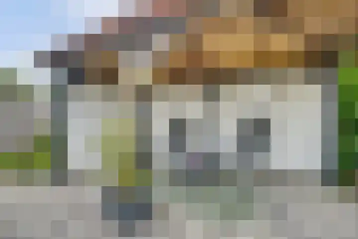 Het Rijpaard 30 Dronten thumbnail 28