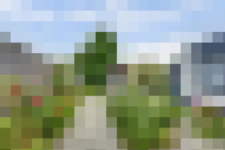 Het Rijpaard 30 Dronten thumbnail 32