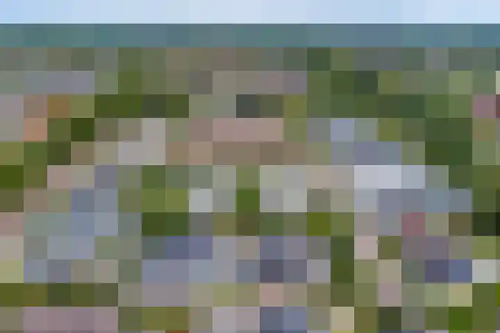 Het Rijpaard 30 Dronten thumbnail 34
