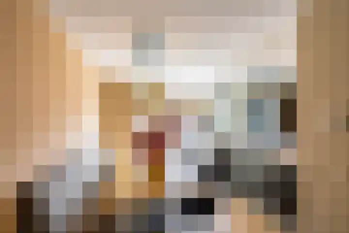 Het Rinket 17 Meerstad thumbnail 12