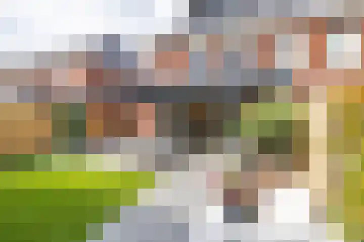 Het Rinket 17 Meerstad foto 2