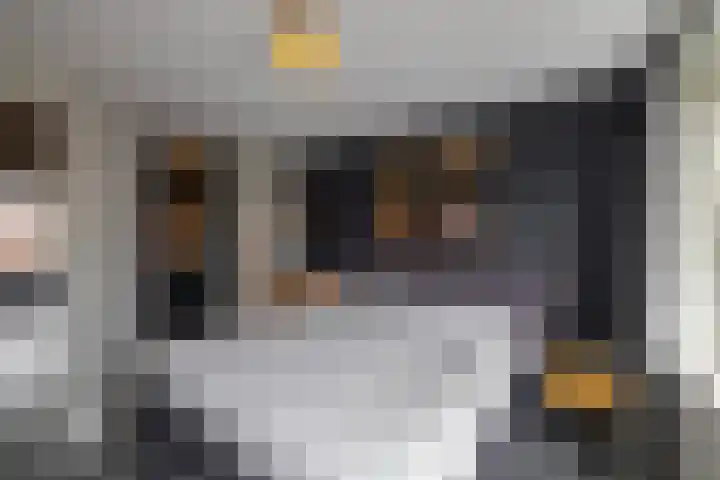 Het Rinket 17 Meerstad thumbnail 22
