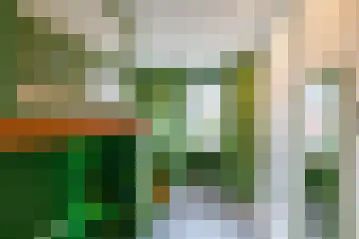 Het Rinket 17 Meerstad thumbnail 28