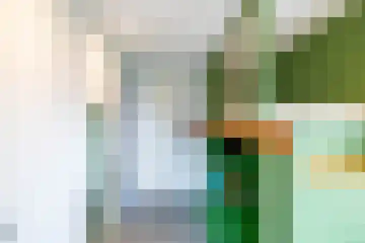 Het Rinket 17 Meerstad thumbnail 29