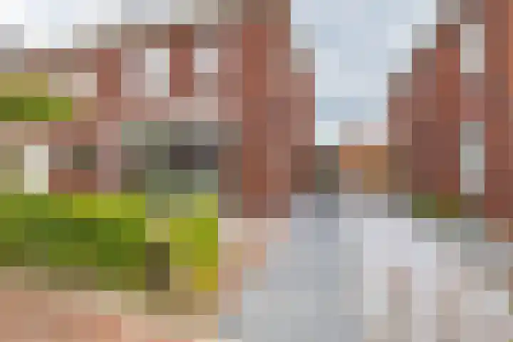 Het Rinket 17 Meerstad thumbnail 4