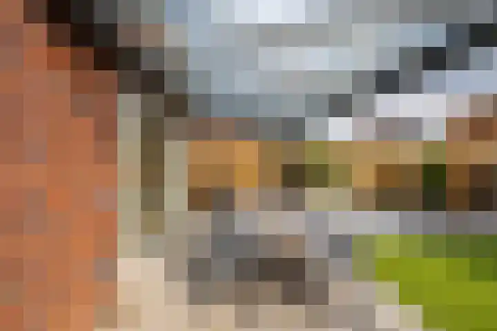 Het Rinket 17 Meerstad thumbnail 43