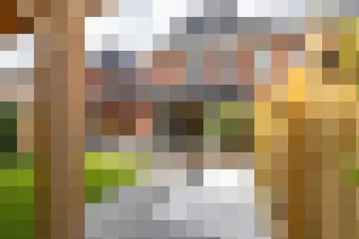 Het Rinket 17 Meerstad thumbnail 46