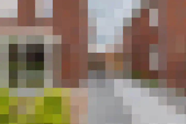 Het Rinket 17 Meerstad thumbnail 5