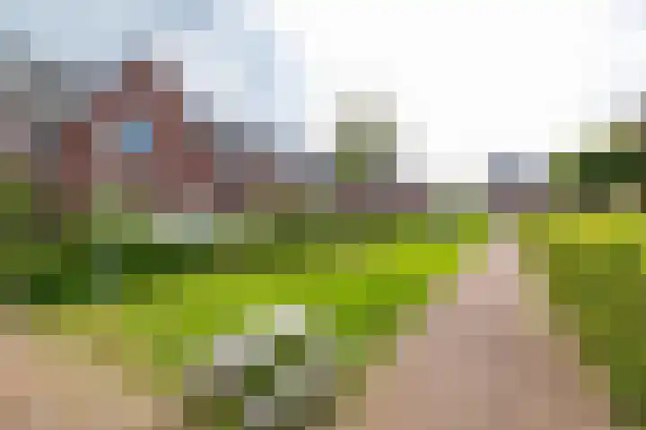 Het Rinket 17 Meerstad thumbnail 50