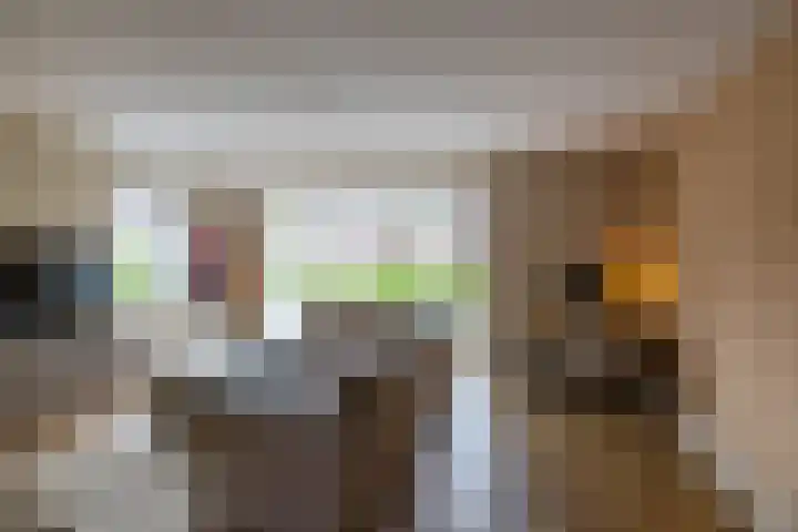 Het Rinket 17 Meerstad thumbnail 7