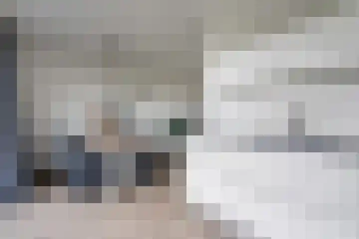 Het Rinket 25 Meerstad thumbnail 14