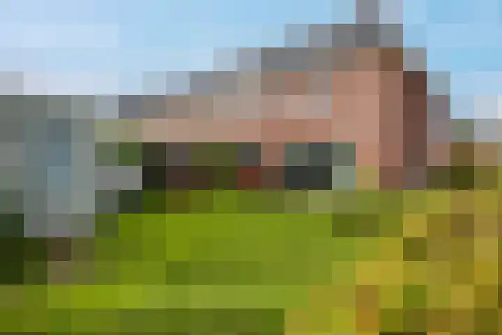 Het Rinket 25 Meerstad thumbnail 18