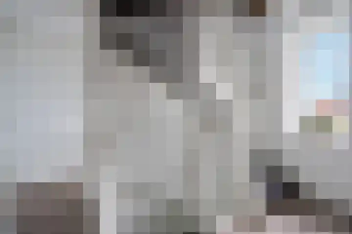 Het Rinket 25 Meerstad thumbnail 21
