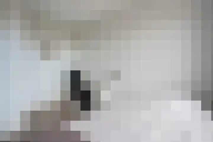 Het Rinket 25 Meerstad thumbnail 33