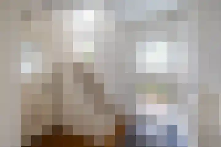 Het Rocht 20 Vries thumbnail 10