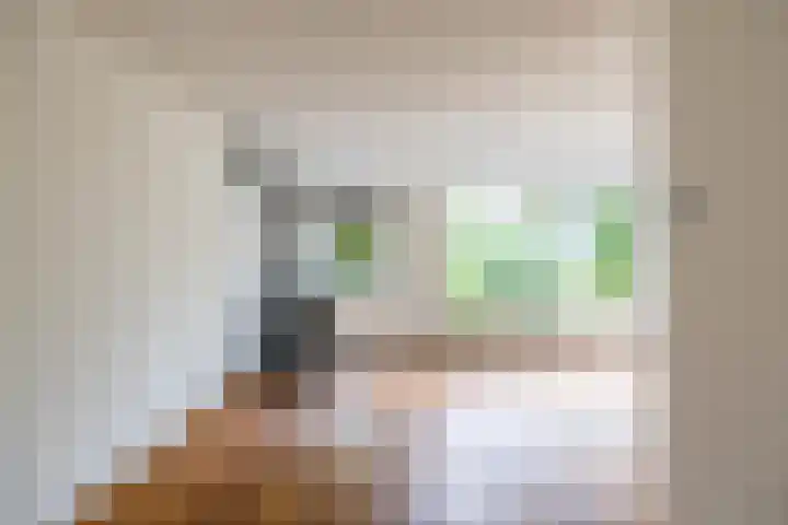 Het Rocht 20 Vries thumbnail 14
