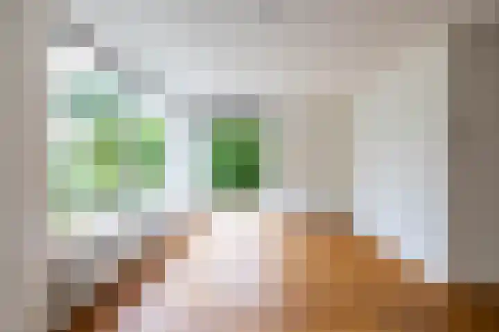 Het Rocht 20 Vries thumbnail 15