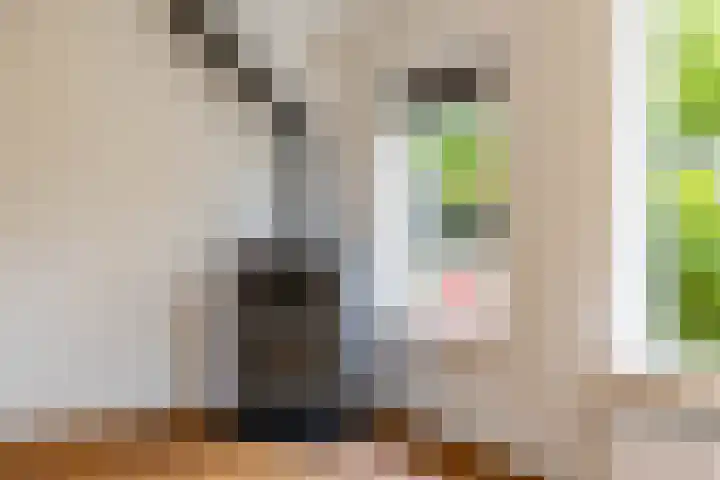 Het Rocht 20 Vries thumbnail 17