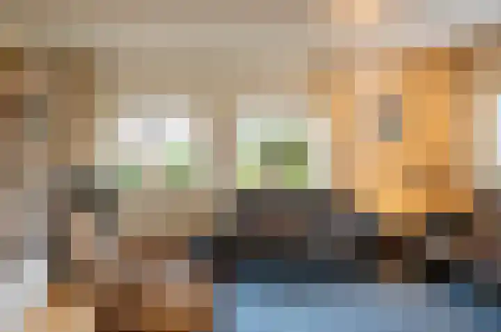 Het Rocht 20 Vries foto 2