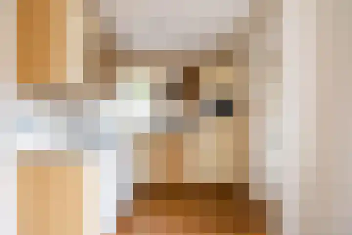 Het Rocht 20 Vries thumbnail 21