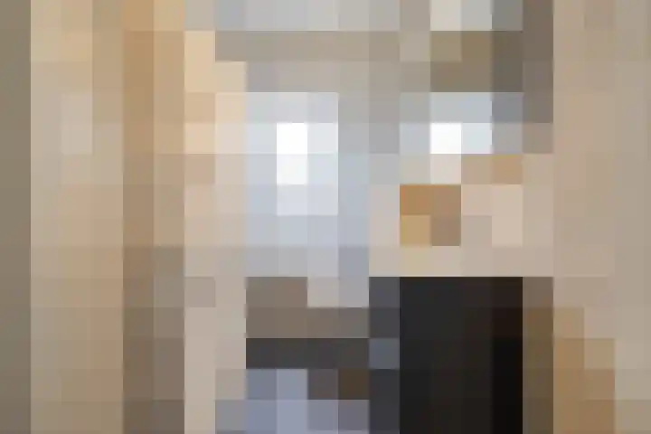 Het Rocht 20 Vries thumbnail 28