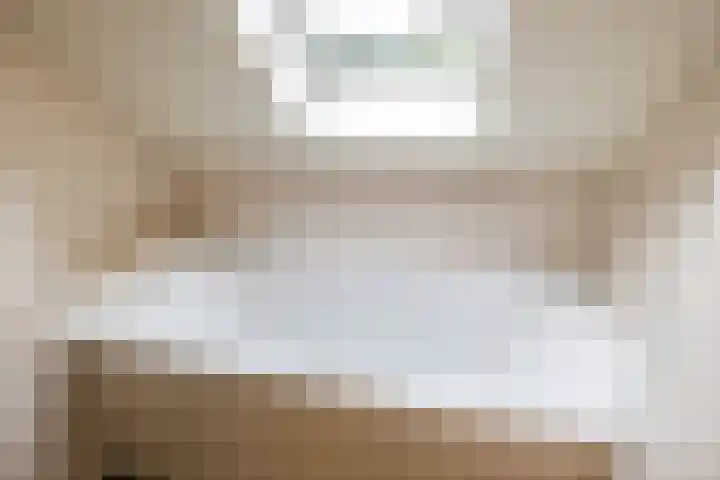 Het Rocht 20 Vries thumbnail 29