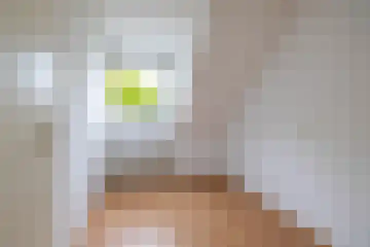 Het Rocht 20 Vries thumbnail 31