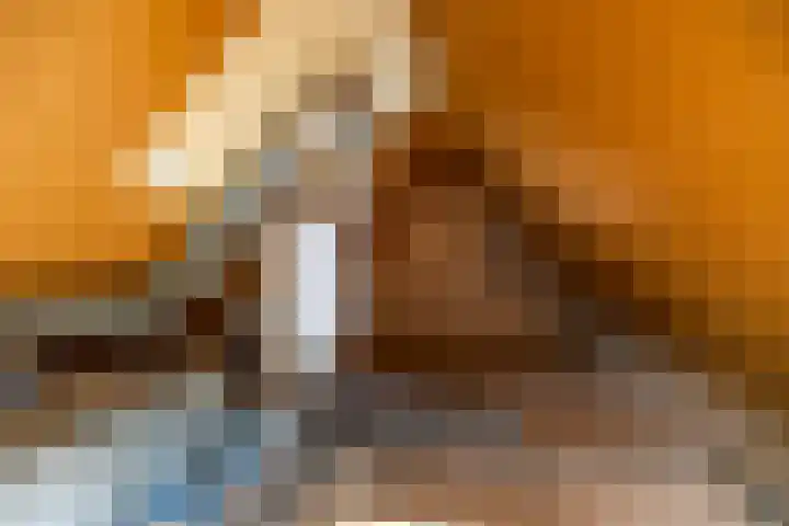 Het Rocht 20 Vries thumbnail 38
