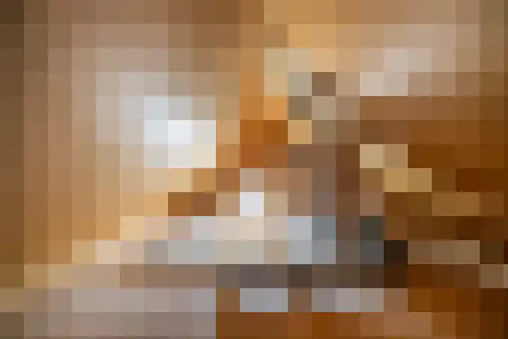 Het Rocht 20 Vries thumbnail 39