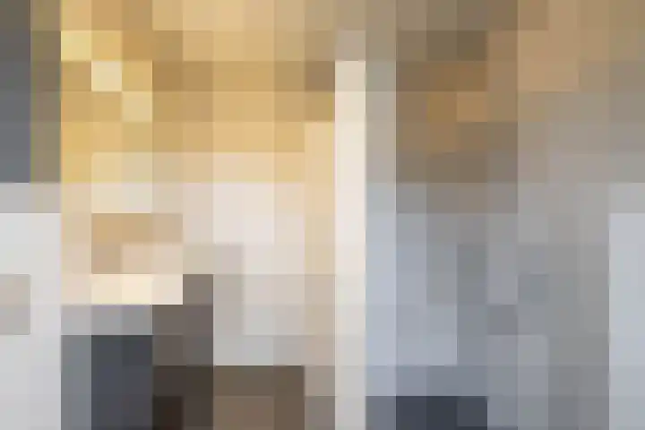 Het Rocht 20 Vries thumbnail 4