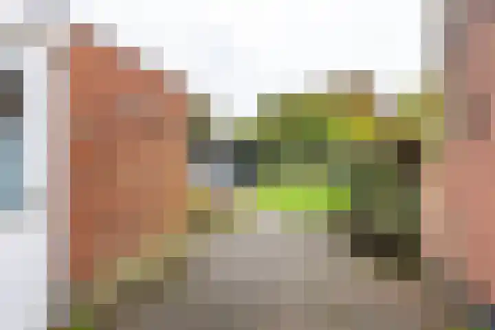 Het Rocht 20 Vries thumbnail 40