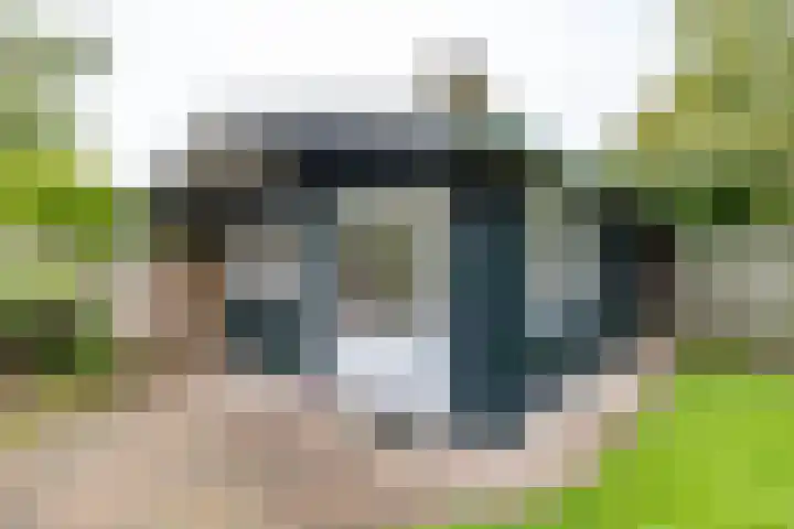 Het Rocht 20 Vries thumbnail 42