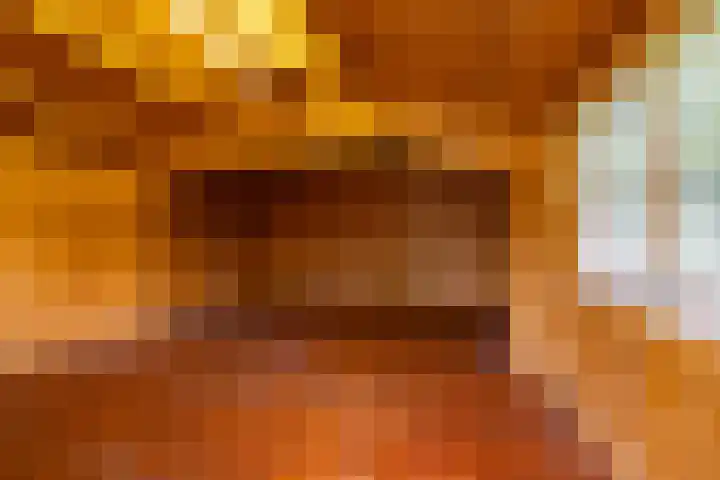 Het Rocht 20 Vries thumbnail 43