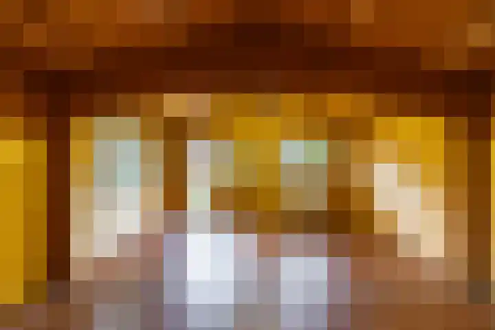 Het Rocht 20 Vries thumbnail 44