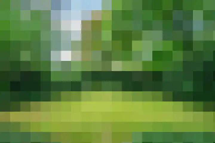 Het Rocht 20 Vries thumbnail 45