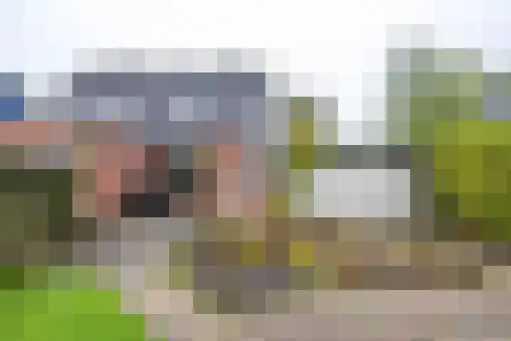 Het Rocht 20 Vries thumbnail 45