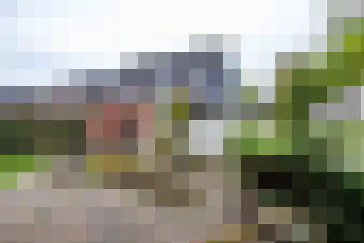 Het Rocht 20 Vries thumbnail 46