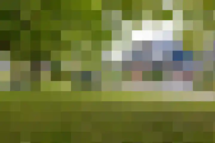 Het Rocht 20 Vries thumbnail 48