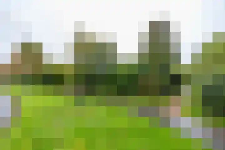 Het Rocht 20 Vries thumbnail 50