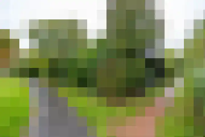 Het Rocht 20 Vries thumbnail 51