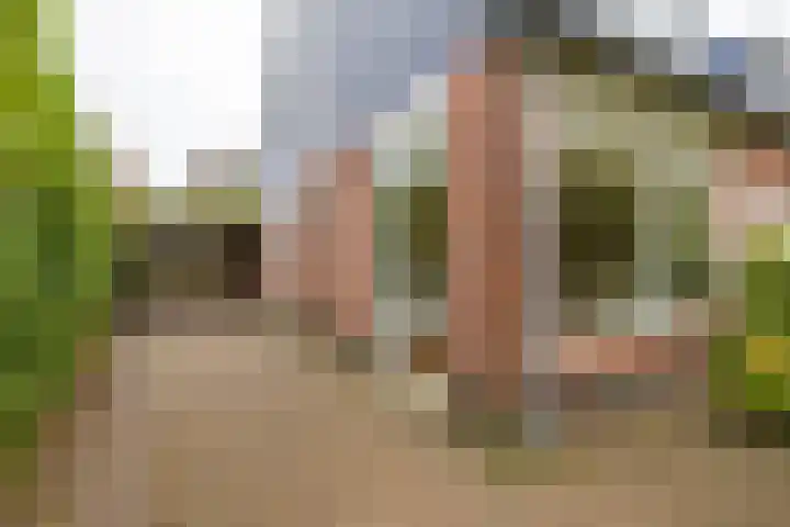 Het Rocht 20 Vries thumbnail 7