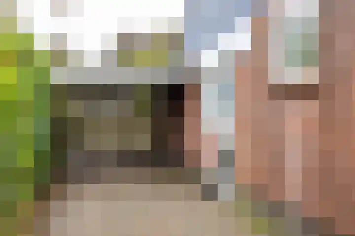 Het Rocht 20 Vries thumbnail 8