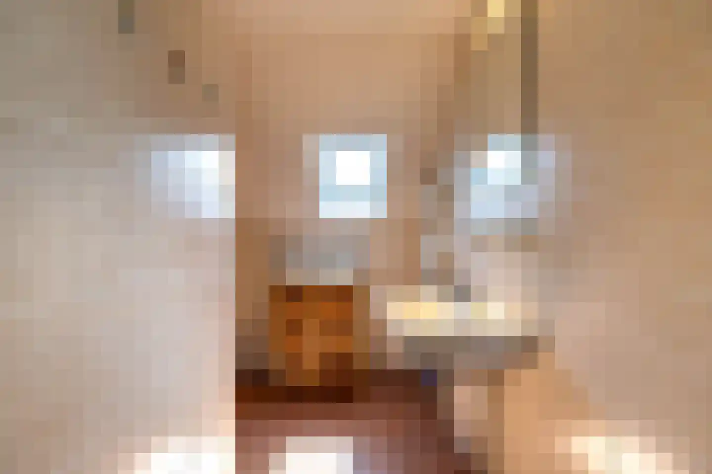 Het Rocht 57 Vries thumbnail 22